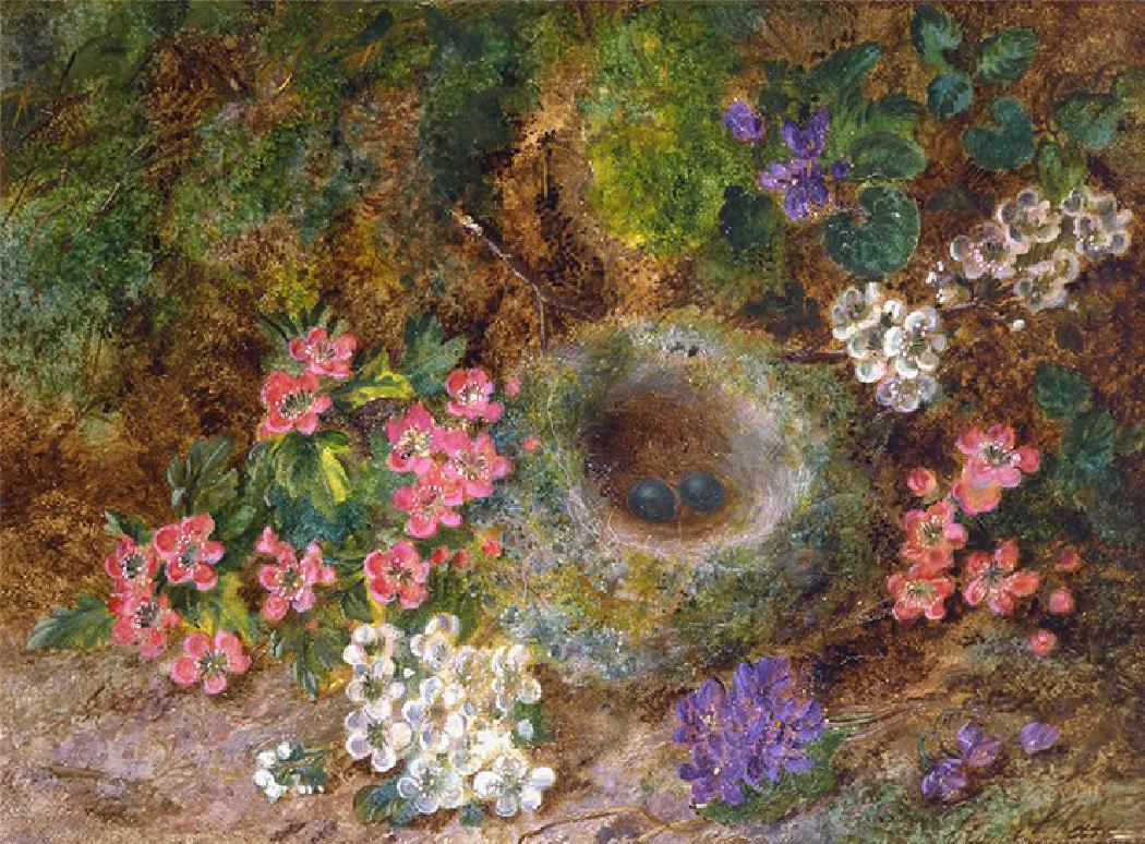 Composition aux fleurs et nid sur fond de nature. HST 20 x 26 cm-Clare 1825+1890-George 